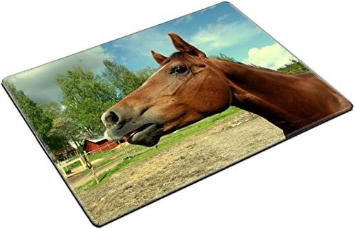 stall horse equestrian animal world summer pet nature QZone Placemat Pads Customized Made To Order Support Ready 15 6/8 Inch (400mm) X 11 13/16 Inch (300mm) X 1/8 Inch (3mm) High Quality Eco Friendly Cloth With Neoprene Rubber