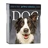 Dog Gallery 2009 Calendar (Page a Day Gallery Calendar)
