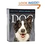 Dog Gallery Calendar 2009 (Page a Day Gallery Calendar)