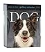 Dog Gallery 2009 Calendar (Page a Day Gallery Calendar)