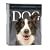 Dog Gallery Calendar 2009 (Page a Day Gallery Calendar)