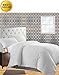 CELINE LINEN Wrinkle & Fade Resistant 2-Piece Duvet Cover Set - Protects and Covers Your Comforter/Duvet Insert, 1500 Series Luxurious 100% - Silky Soft, Twin/Twin XL, White