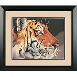 Eigenschaften Dimensions 91323 / Regal Tiger Malen nach Zahlen