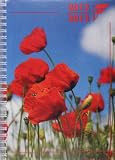 Produkt-Bild: Fl&ouml;ttmanns Kompaktplaner f&uuml;r Erzieherinnen und Erzieher 2012 - 2013 - A5 - Erzieherinnenkalender - Planer f&uuml;r das Kindergartenjahr 2012/2013 - Kalender f&uuml;r den Kindergarten