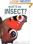 What is an Insect?