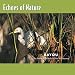 Echoes of Nature: Bayou