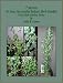 7 Secrets to Your Successful Indoor Herb Garden (Y