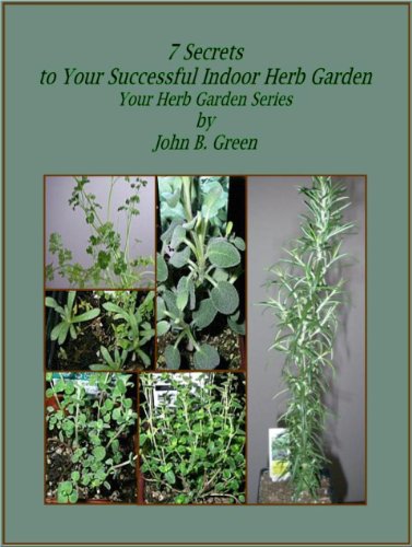 7 Secrets to Your Successful Indoor Herb Garden (Your Herb Garden)