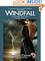 Windfall (The Weather Warden, Book 4)