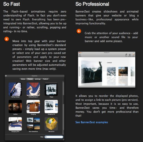 BannerZest Pro [Import]