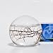 EcoSphere Closed Aquatic Ecosystem, Small Sphere