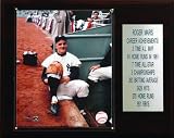 MLB Roger Maris New York Yankees Career Stat Plaque