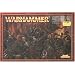 games workshop  warriors of chaos