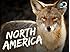 North America Season 1