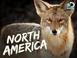 North America: The Savage Edge