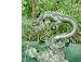 asian dragon bronze statue home yard fountain sculpture