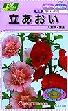 カネコ種苗 草花タネ788 立あおい 混合 10袋セット