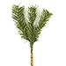 Factory Direct Craft Artificial Evergreen Pine Picks for Holiday Decorating - 12 Picks