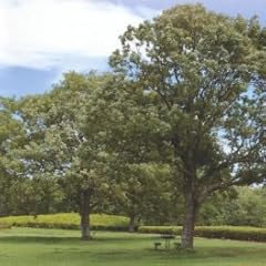 散歩に出かける 公園・庭園 図鑑 首都圏版