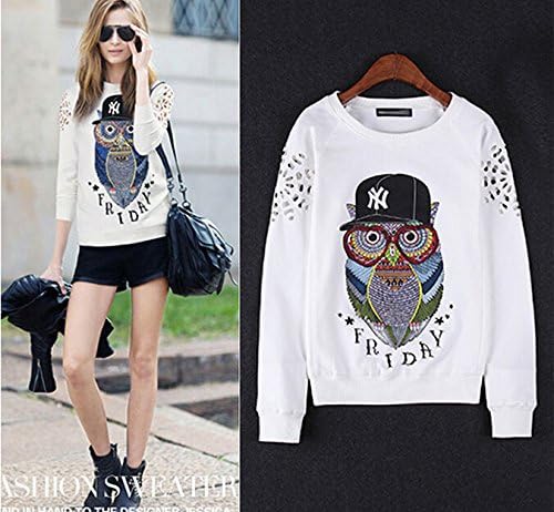 2014 Autumn and winter New pattern Sweater The sleeve head Easy Cartoon Printing Hollow Long sleeve Owl Movement Leisure time T-shirt Loose (M)