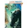 The Black Stallion (Turtleback School & Library Binding Edition)