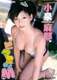 小泉麻耶DVD ビタミンM