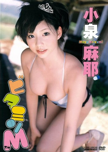 小泉麻耶DVD ビタミンM