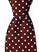 Scott Allan Mens Polka Dot Necktie