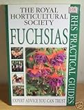 Fuchsias