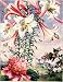 Wallmonkeys Peel and Stick Wall Decals - Regal Lilies, Peonies, and Abelia Flowers Are Native to China - Removable Graphic