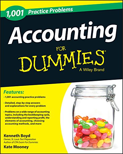 1,001 Accounting Practice Problems For Dummies