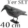 3x RABE Kr�he Taubenschreck Vogelschreck Taube Vogel Schreck Pflanzenschutz
