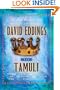 The Tamuli: Domes of Fire - The Shining Ones - The Hidden City