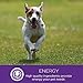 Wellness Complete Health Dry Dog Food, Wholesome Grains, Natural, Whitefish & Sweet Potato Recipe, (15-Pound Bag)