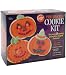 Wilton Halloween Pre- Baked Pre-Assembled Cookie House Kit