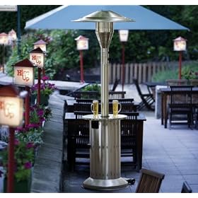 Enders Commercial-Quality Propane Patio Heater - 48,000 BTU, Stainless Steel, Model# 550070
