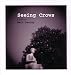 Seeing Crows