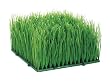 Eight 4"Hx6"Wx6"L Artificial Wheat Grass Mat