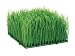 Eight 4"Hx6"Wx6"L Artificial Wheat Grass Mat