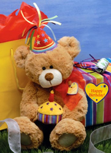 51YiDE8WcpL Bear E. Special Day Birthday Teddy Bear Plush Stuffed Animal