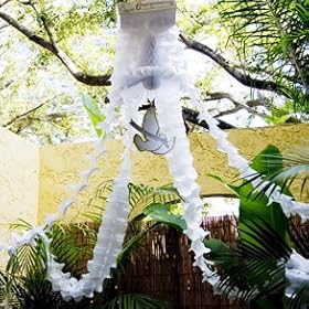 Wedding Party Canopy