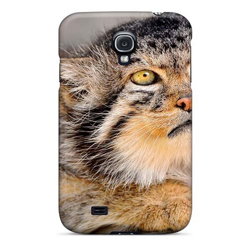 Soneros De Verdad Present Pio Leiva