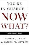 You're in Charge--Now What?: The 8 Point Plan
