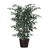 Bushes 48 Artificial Potted Natural Variegated Ficus Tree in Dark Green
