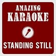 Standing Still (Karaoke Version) (Originally Performed By Roman Lob)