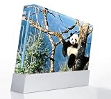 Panda Bear Decorative Protector Skin Decal Sticker for Nintendo Wii Console