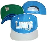 Detroit Lions Wave Blue/Grey Plastic Snapback Adjustable Plastic Snap Back Hat / Cap