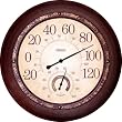 Springfield Precision Instruments 13 Rust Metal Garden Thermometer with Hygrometer