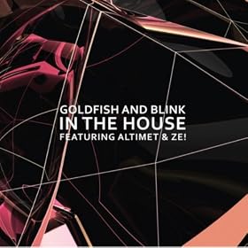 In The House (feat. Altimet & Ze!)