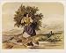 Photographic Prints of Woman Carrying Fern 1848 from Mary Evans